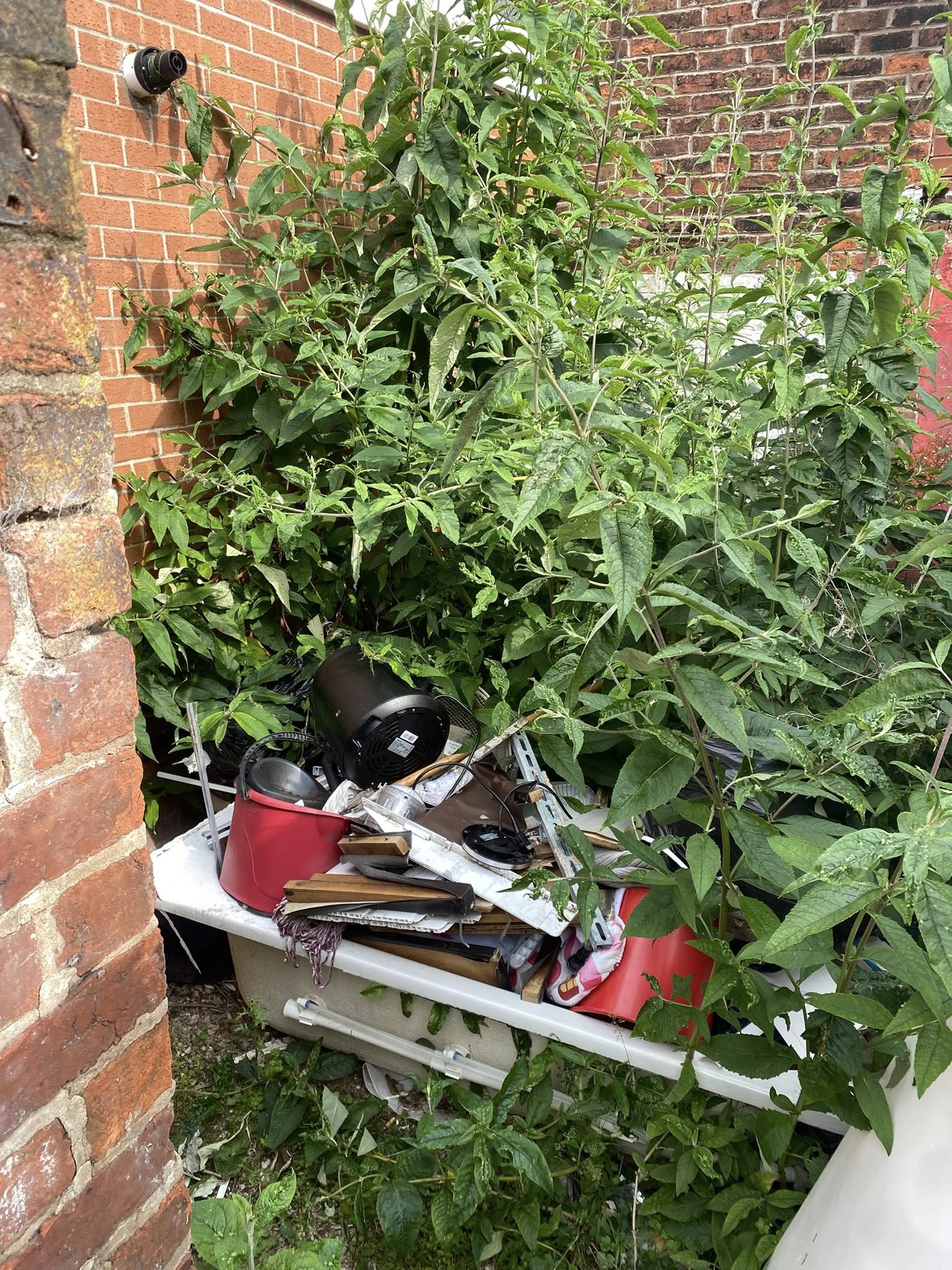 Garden clearance before Lancashire